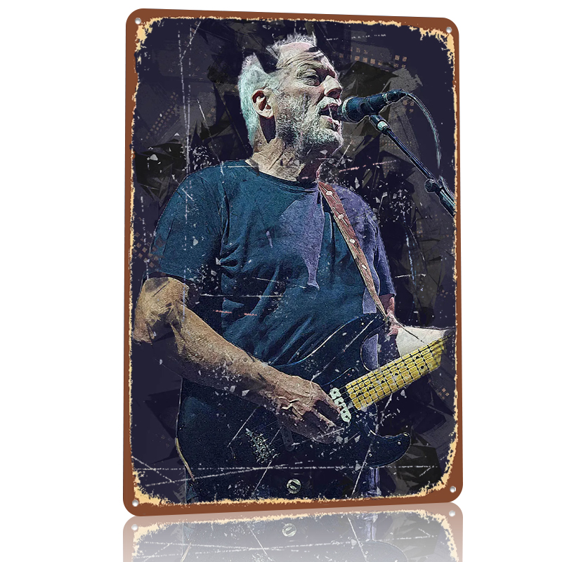 David Gilmour Metalen Poster A - Gaming Accessories Retro recensie en prijs
